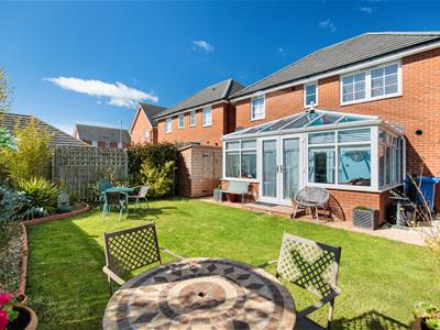 Picture 4